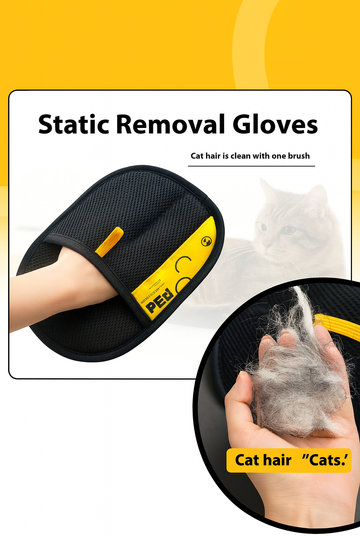Bond with Your Pet, Live Fur-Free Bliss!
