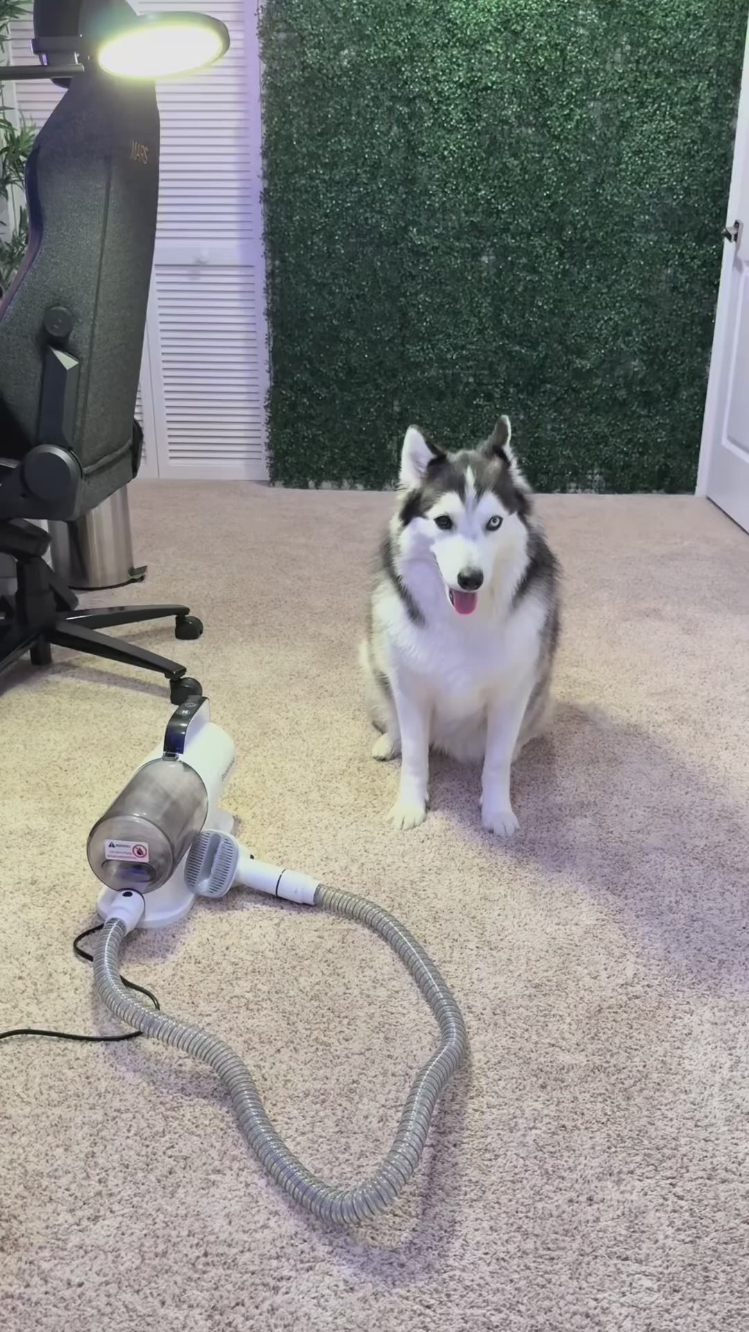 5 in 1 Pet Grooming Vacuum Kit™ video