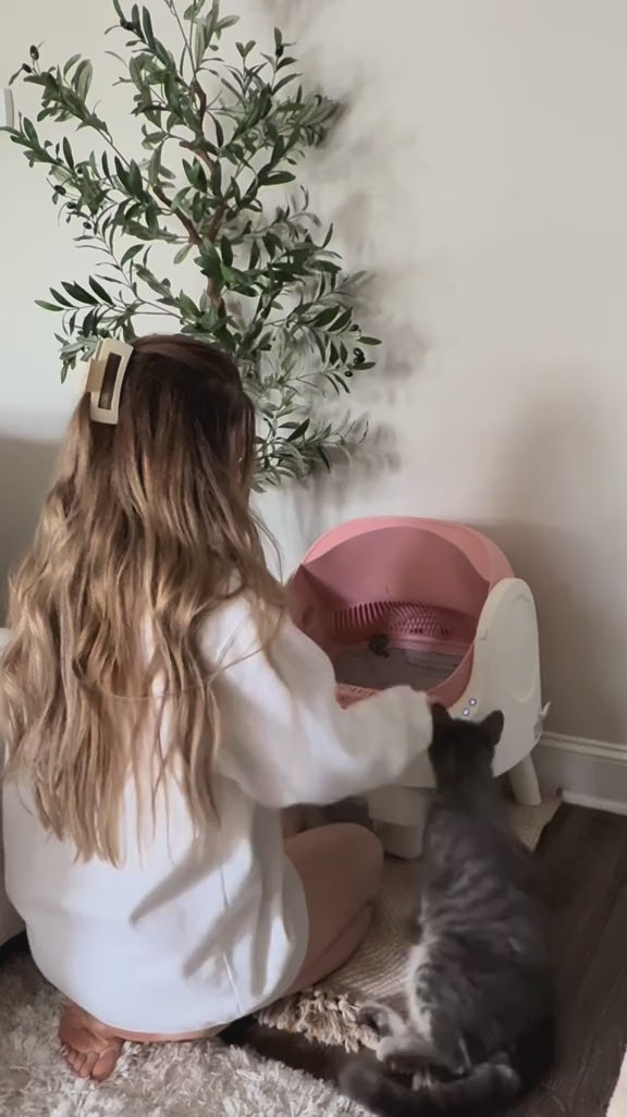 Self-Cleaning Cat Litter Box™ video